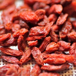 Goji berry - Plant