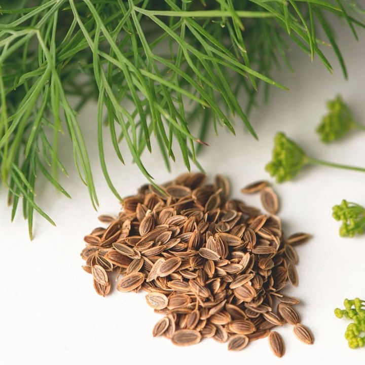 dill seeds