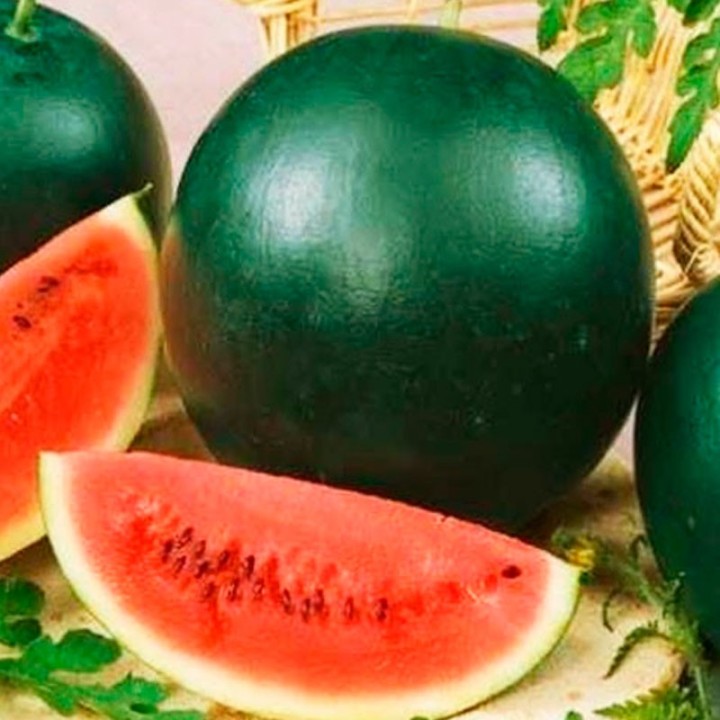 Watermelon, Sugar Baby - Seeds