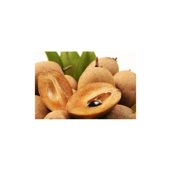 Sapota
