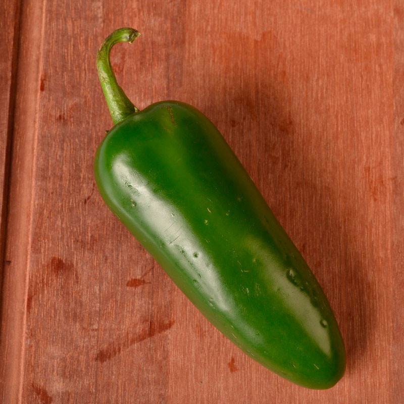 Pimiento Jalapeño semillas