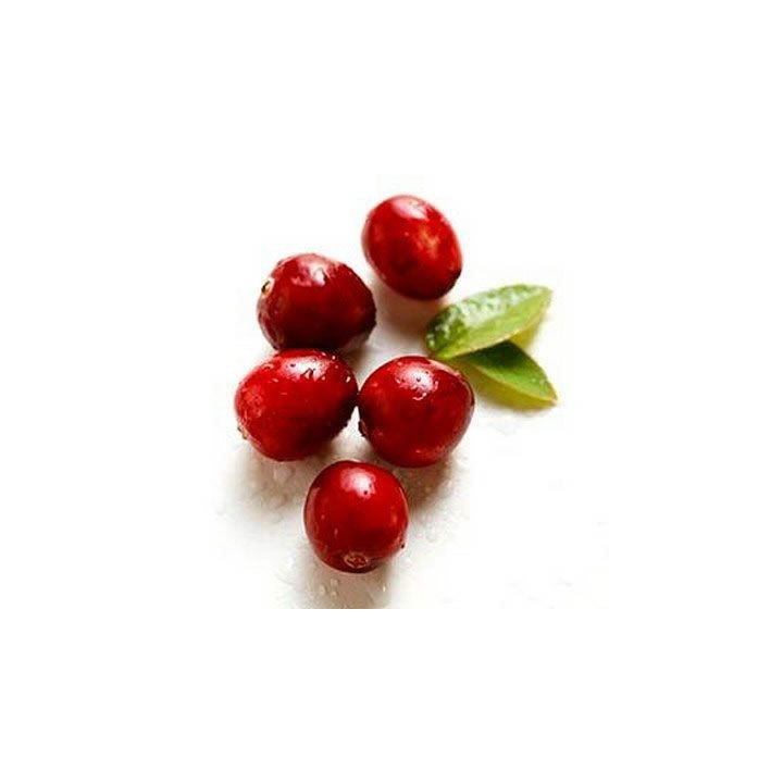 Vaccinium macrocarpon seeds