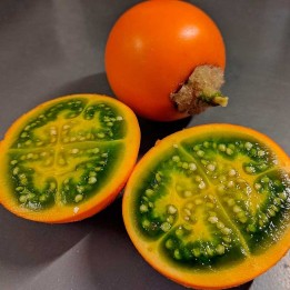 lulo seeds