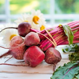 Beetroot - seeds