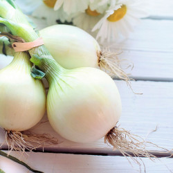 Onion, Babosa - 250 seeds