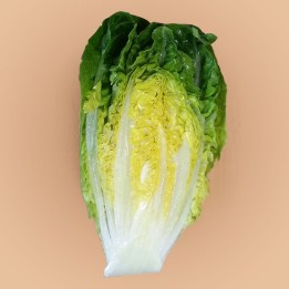 Lettuce, Cogollo de Tudela - Seeds
