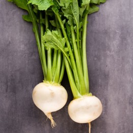 Turnip, Snowball - Seeds