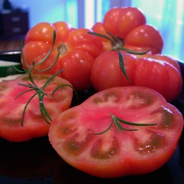 Tomato, Marmande - Seeds