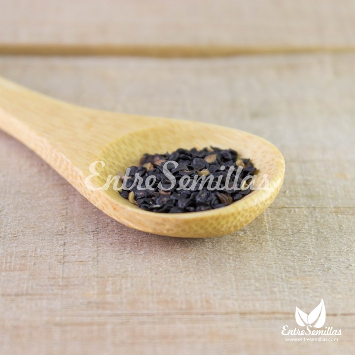 claveles mix variados