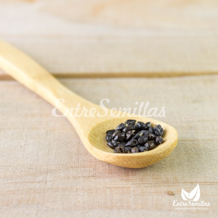 semillas de consuelda
