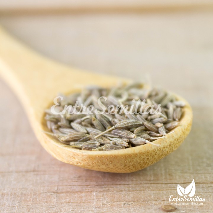cumin seeds