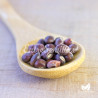 Pigeon pea - 5 seeds