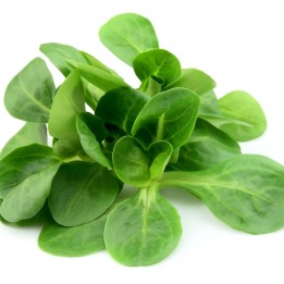 Lamb's lettuce - Seeds