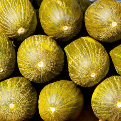 Melon, Piel de sapo - 60 seeds