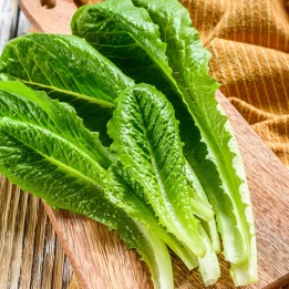 Lettuce, Parris Island Cos - Seeds