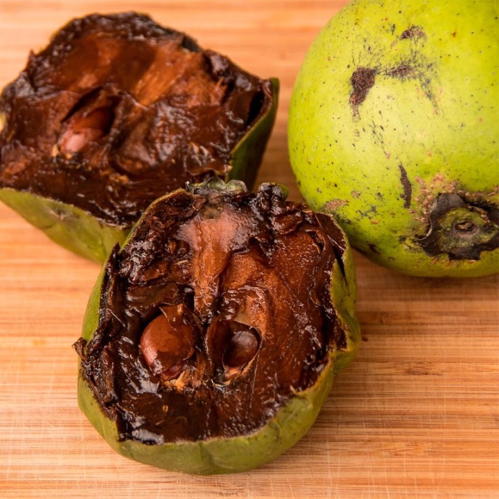 Black sapote - Seeds
