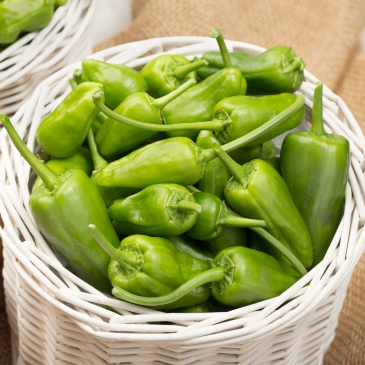 Pepper, Padrón - Seeds