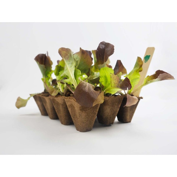 Seedbed 12 cells, Natural fiber (12u)