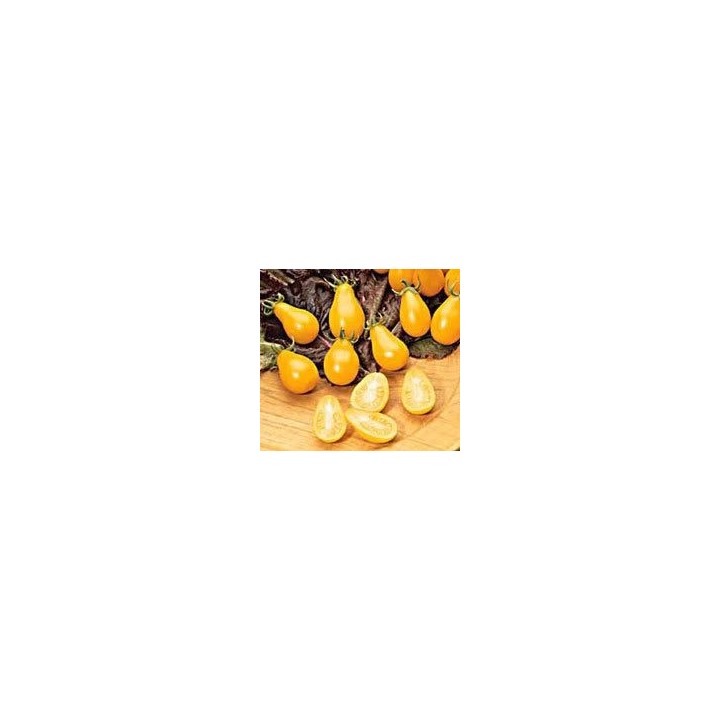 Tomate Cherry Pera Amarillo - Sobre 25 semillas