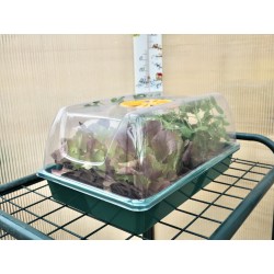 Mini Greenhouse 38.7 × 24.2 × 17.5cm - XS Greenhouse