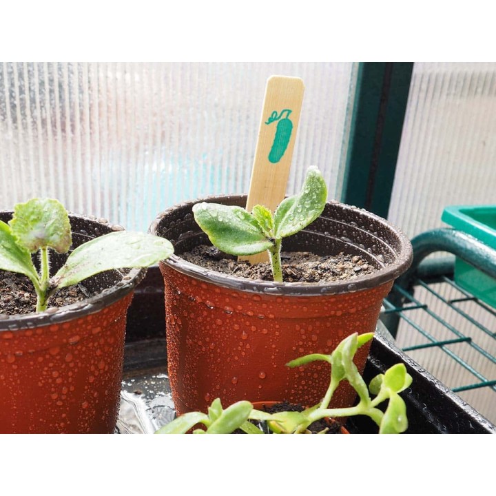 Bamboo labels, cucumber illustration (6uds)