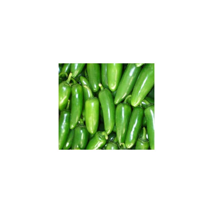 Pimiento Serrano Tampiqueño - Sobre 20 semillas
