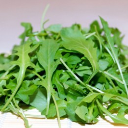 Arugula, Common, Serrated leaf - Seeds