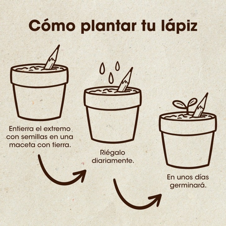 Plantable pencils, pencils with seeds to give as gifts | Seed store