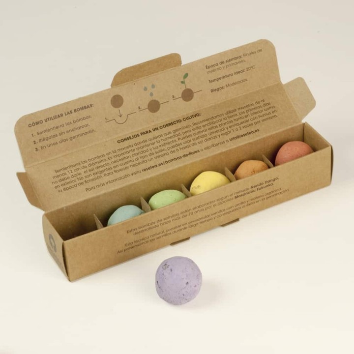 Pack of 6 Flower Seed Bombs