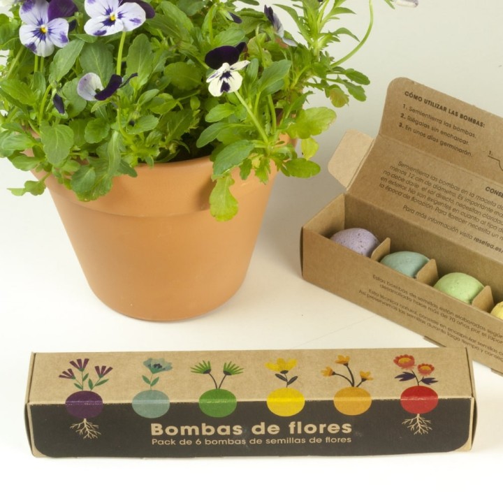 Pack of 6 Flower Seed Bombs