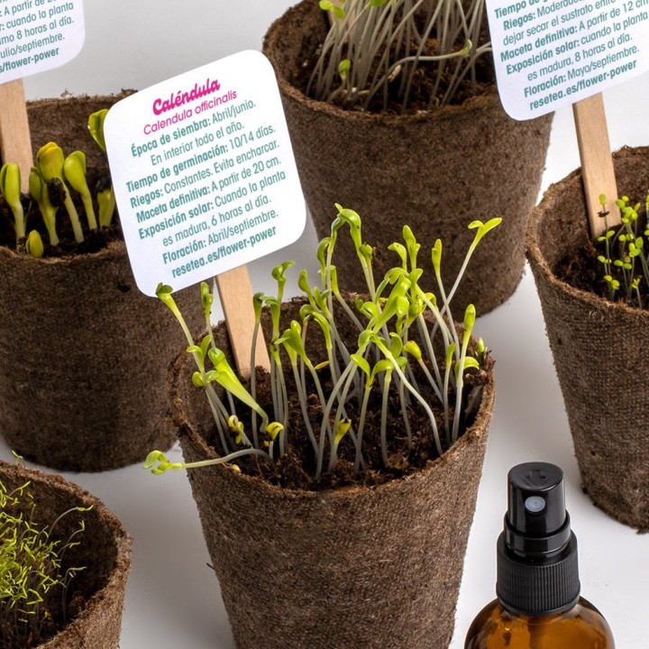 Flower Power - Flower Self-Cultivation Kit | Seed Kit