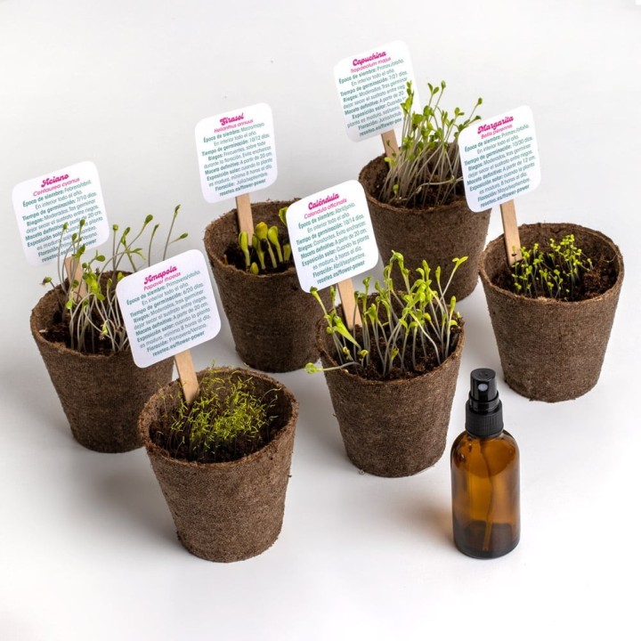 Flower Power - Flower Self-Cultivation Kit | Seed Kit