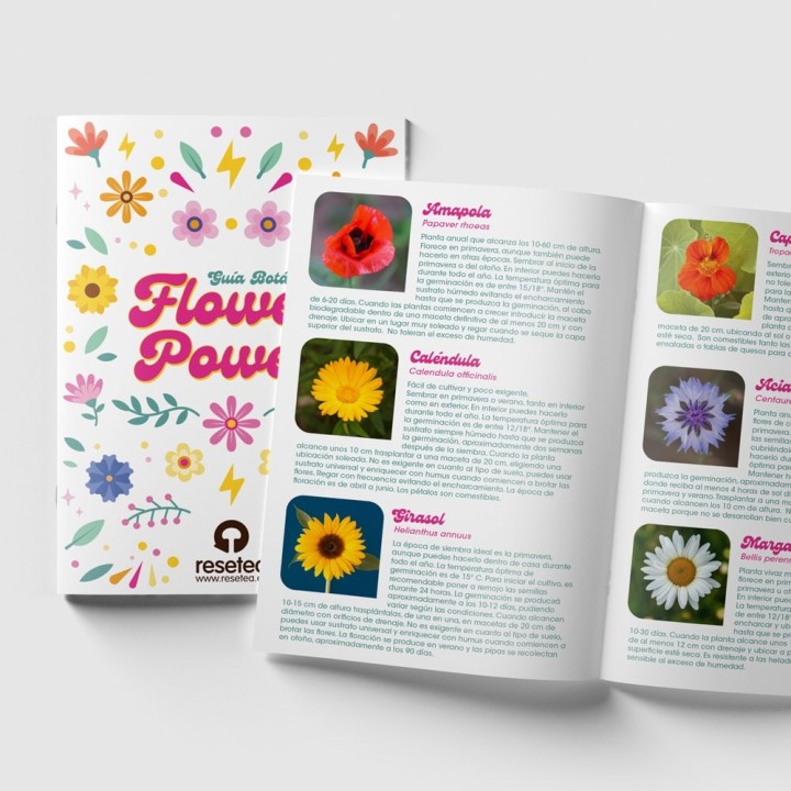 Flower Power - Flower Self-Cultivation Kit | Seed Kit