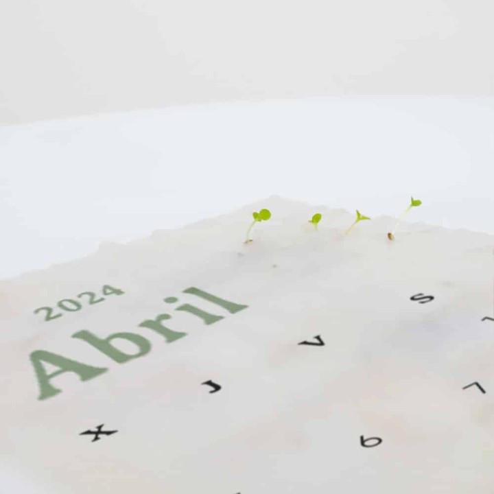 Plantable Calendar 2024: Turn Your Year into an Eco-Friendly Journey of Growth!