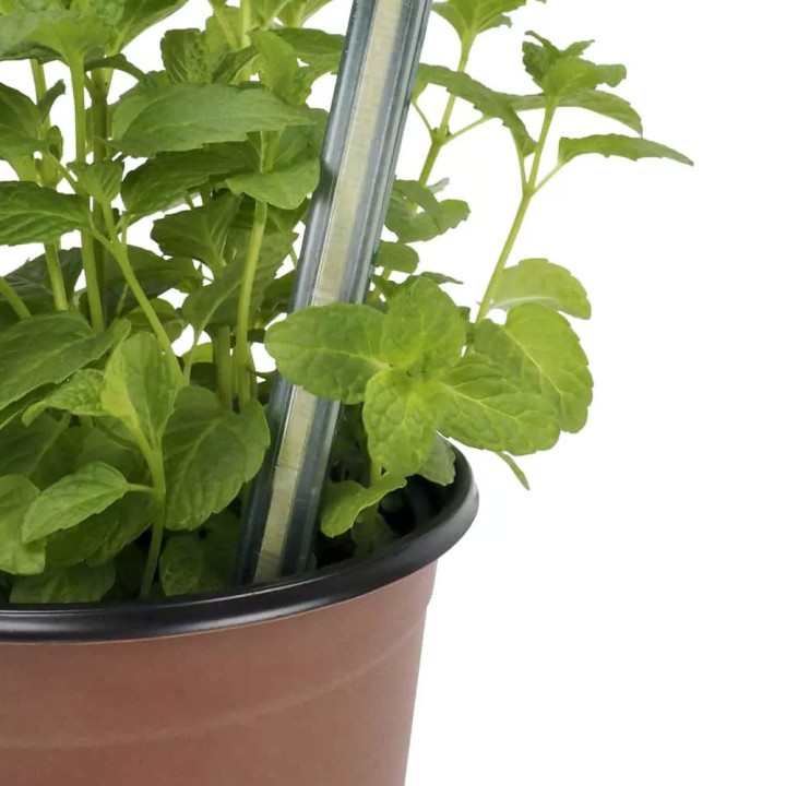 Cultivation pots Ø9cm (8 pcs) for seeds and cuttings.