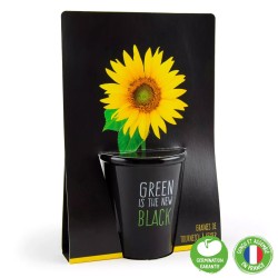 Kit "Green is the new black" - Sunflower