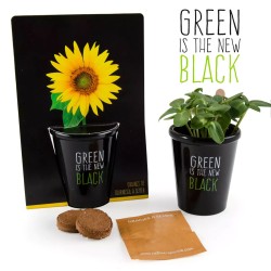Black pot "Green is the new black" - Sunflower