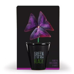 Kit "Green is the new black" - Purple clover