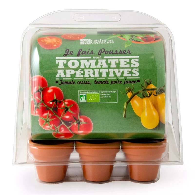 Mini Greenhouse for Organic Tomatoes
