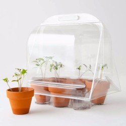 Mini Greenhouse for Organic Tomatoes