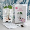 Lotus Grow Kit