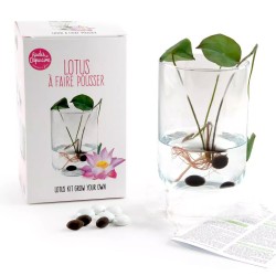Lotus Grow Kit