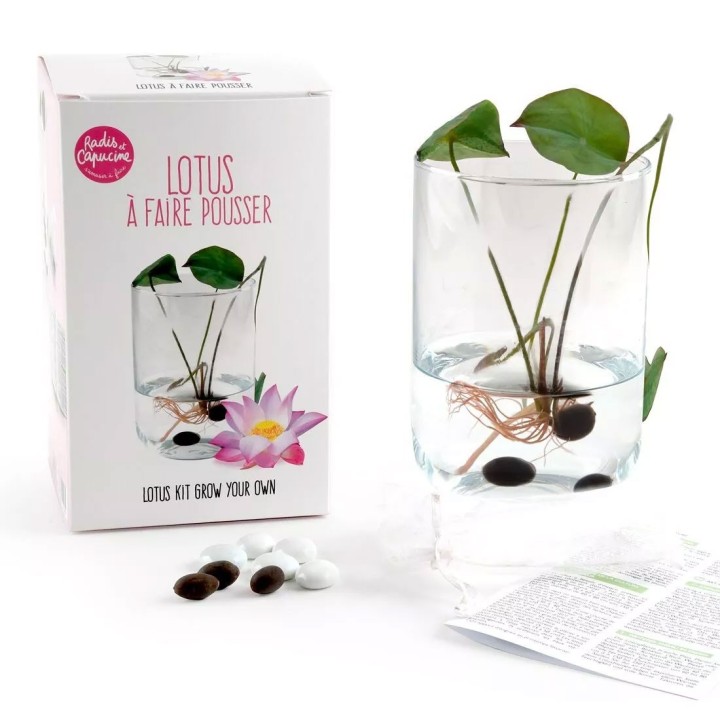 Lotus Grow Kit (with Seeds)