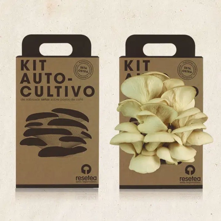 Oyster Mushroom Self-Cultivation Kit