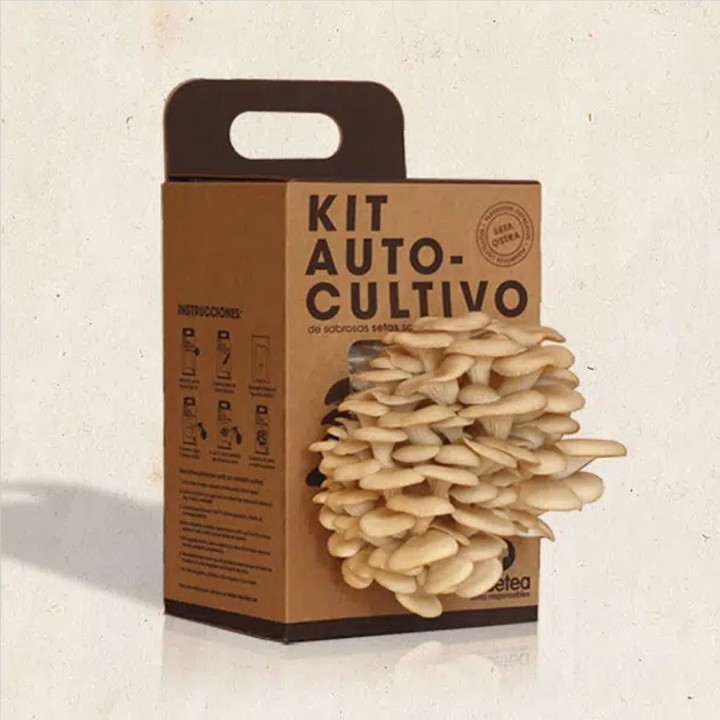 Oyster Mushroom Self-Cultivation Kit