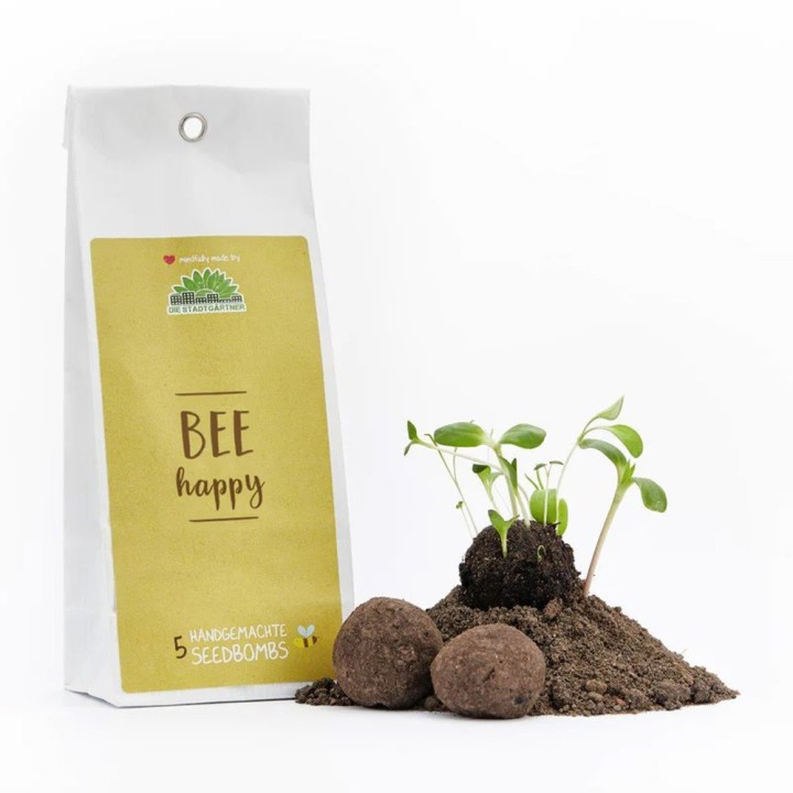 Bee Happy - Seed Bombs for Bees (5 units)