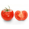 Tomato, Heinz type - 10 seeds