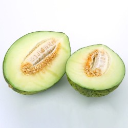 Melon, Piel de sapo - 60 seeds