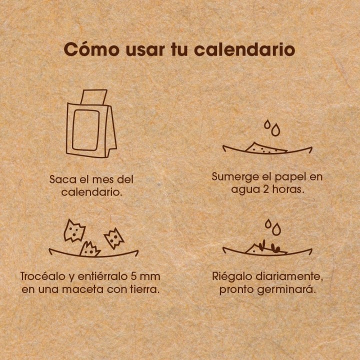 Plantable Calendar 2025: Turn Your Year into an Eco-Friendly Journey of Growth!