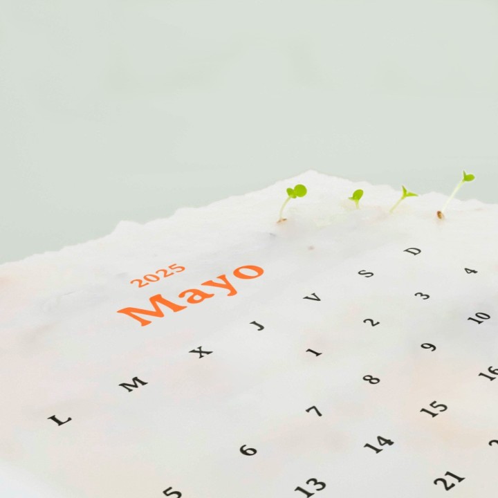 Plantable Calendar 2025: Turn Your Year into an Eco-Friendly Journey of Growth!